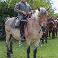 Zobacz w powiększeniu: POWSTANIE STYCZNIOWE – 160 lat później w Baranowie (15)